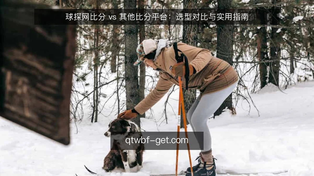球探网比分 vs 其他比分平台:选型对比与实用指南
