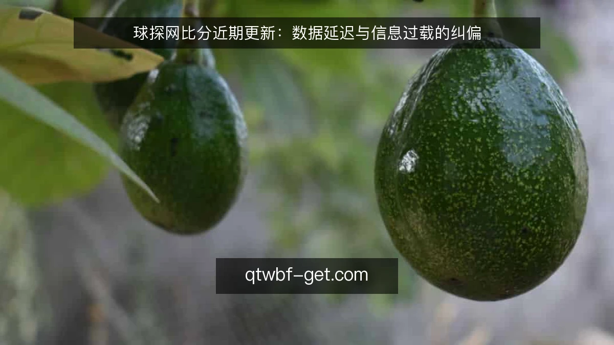 球探网比分近期更新：数据延迟与信息过载的纠偏