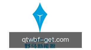 球探网比分