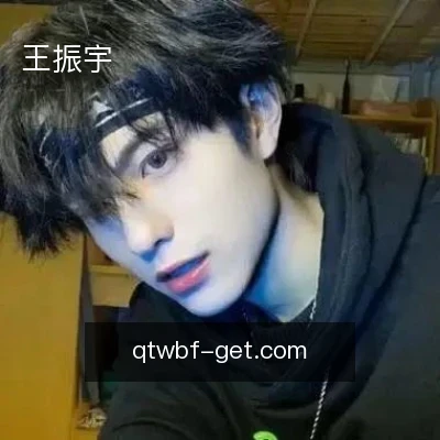 王振宇